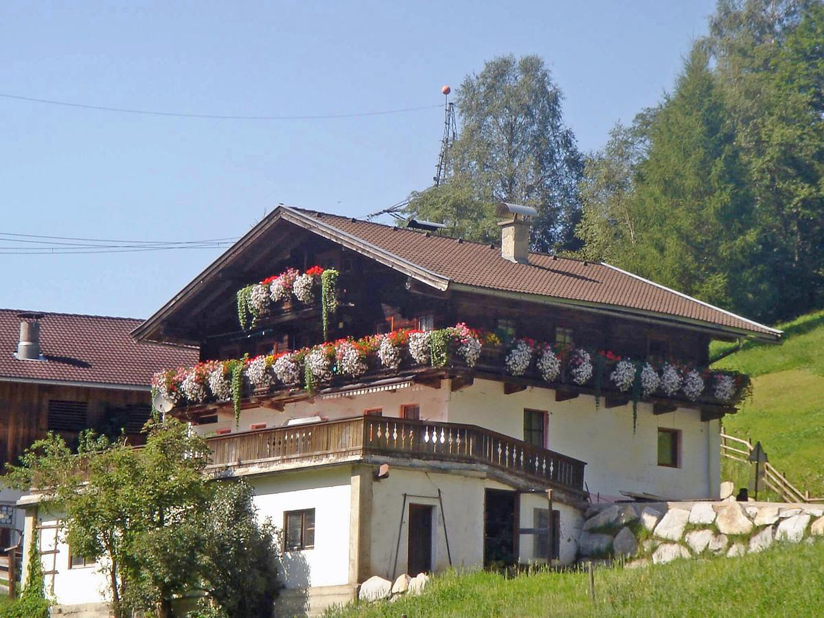 Almliesl Mitt-581 Villa Mittersill Exterior photo